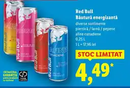 Lidl Red Bull Băutură energizantă Ofertă