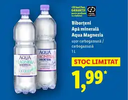 Lidl Biborţeni Apă minerală Aqua Magnesia Ofertă