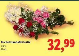 Lidl Buchet trandafiri festiv Ofertă