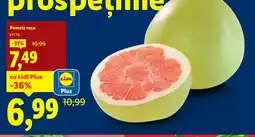 Lidl Pomelo roşu Ofertă