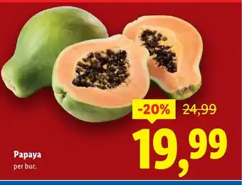 Lidl Papaya Ofertă