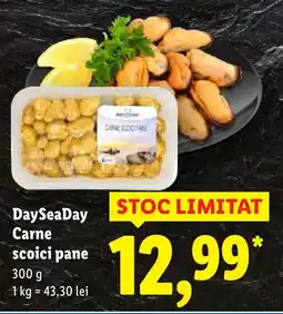 Lidl DaySeaDay Carne scoici pane Ofertă