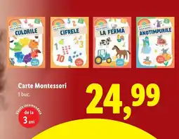 Lidl Carte Montessori Ofertă