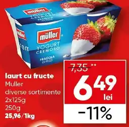 PROFI laurt cu fructe Muller Ofertă