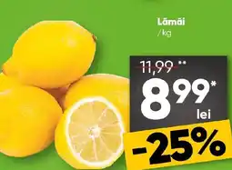 PROFI Lămâi Ofertă