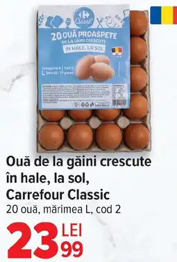 Carrefour Ouă de la găini crescute în hale, la sol, Carrefour Classic Ofertă