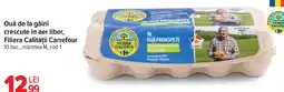Carrefour Ouă de la găini crescute in aer liber, Filiera Calităţii Carrefour Ofertă