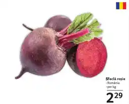 Selgros Sfeclă roşie Ofertă
