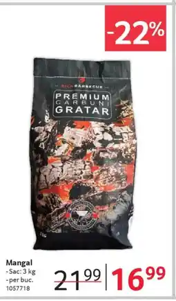 Selgros Mangal Ofertă