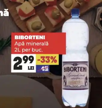 BIBORTENI Apă minerală