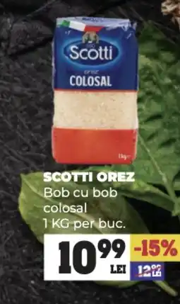 Annabella SCOTTI Orez Bob cu bob colosal Ofertă