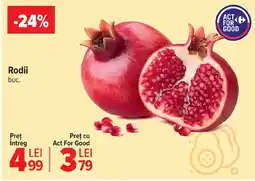 Carrefour Market Rodii Ofertă