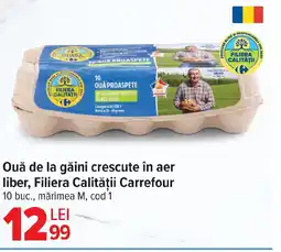 Carrefour Market Ouǎ de la găini crescute în aer liber, Filiera Calității Carrefour Ofertă