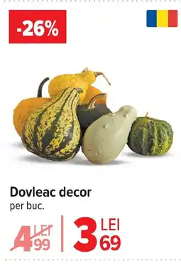 Carrefour Market Dovleac decor Ofertă
