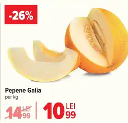 Carrefour Pepene Galia Ofertă
