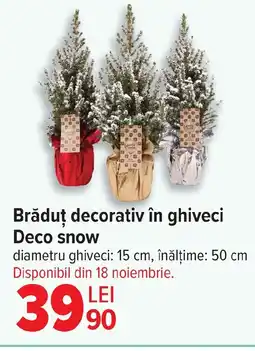 Carrefour Brăduț decorativ în ghiveci Deco snow Ofertă