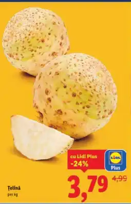 Lidl Telinǎ Ofertă