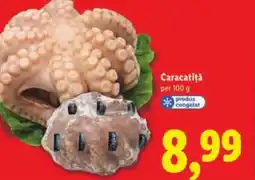 Lidl Caracatiţă Ofertă