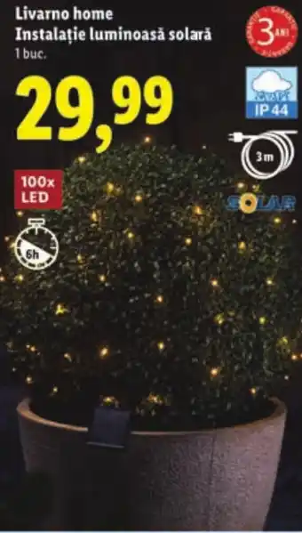 Livarno home Instalație luminoasă solară