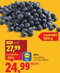 Lidl Afine Ofertă