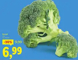 Lidl Broccoli Ofertă