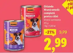 Lidl Orlando Hrană umedă completă pentru cáini Ofertă