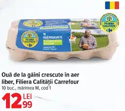 Carrefour Market Ouǎ de la găini crescute în aer liber, Filiera Calității Carrefour Ofertă