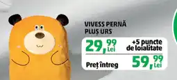 Penny Vivess pernă plus urs Ofertă