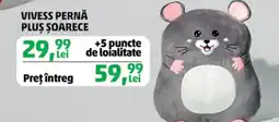 Penny Vivess pernă plus soarece Ofertă
