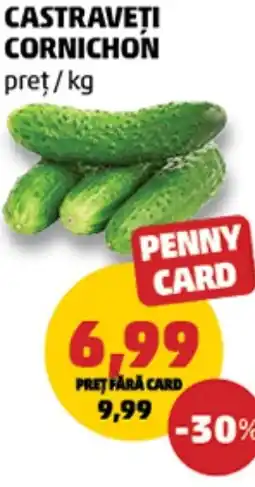 Penny Castraveti cornichon Ofertă