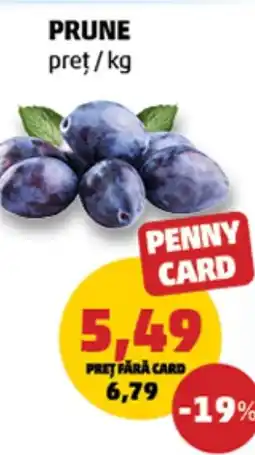 Penny Prune Ofertă