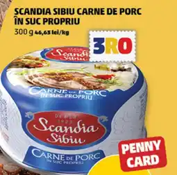 Penny Scandia sibiu carne de porc în suc propriu Ofertă