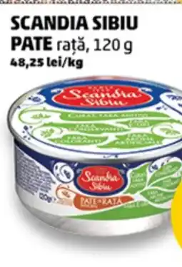 Penny Scandia sibiu pate rață Ofertă