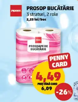 Penny Prosop bucătărie Ofertă