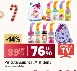 Carrefour Pisicuţa Surpriză, Misfittens Ofertă