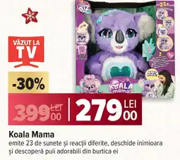 Carrefour Koala Mama Ofertă