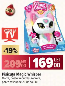 Carrefour Pisicuţă Magic Whisper Ofertă