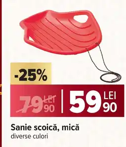 Carrefour Sanie scoică, mică Ofertă