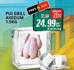 Diana Supermarket Pui grill axedum Ofertă