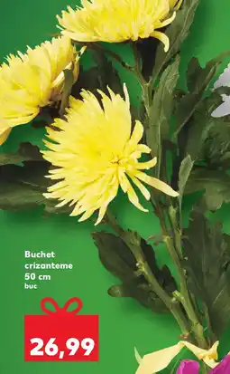 Kaufland Buchet crizanteme Ofertă