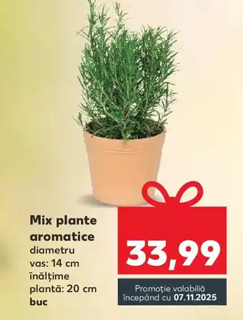 Kaufland Mix plante aromatice Ofertă