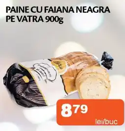 Unicarm Paine cu faiana neagra pe vatra Ofertă