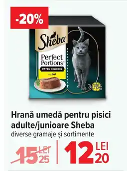 Carrefour Hrană umedă pentru pisici adulte/junioare Sheba Ofertă