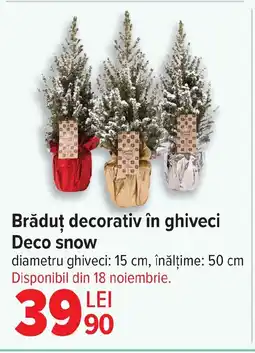 Carrefour Brăduț decorativ în ghiveci Deco snow Ofertă