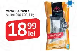 Supeco Macrou COPANEX calibru 200-400 Ofertă