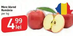 Supeco Mere Idared România Ofertă
