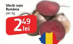 Supeco Sfeclă roşie România Ofertă