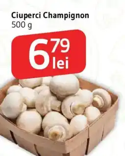Supeco Ciuperci Champignon Ofertă