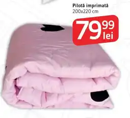 Supeco Pilotǎ imprimată Ofertă