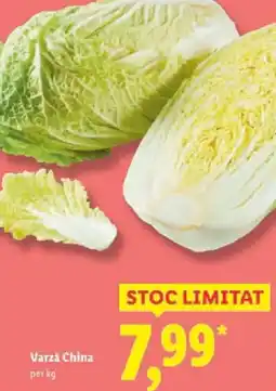 Lidl Varzǎ China Ofertă